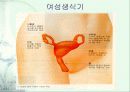 생식 5페이지