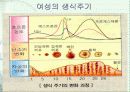 생식 14페이지