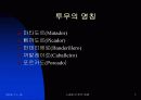 스페인의 투우문화 7페이지