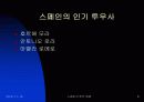스페인의 투우문화 8페이지