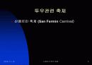 스페인의 투우문화 9페이지