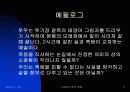 스페인의 투우문화 11페이지