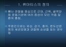 신경통과 류마티스 15페이지