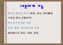 환경호르몬이란 무엇인가 10페이지