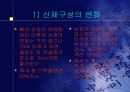 노화 생물학적 이론 4페이지