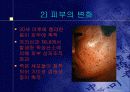 노화 생물학적 이론 5페이지