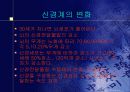 노화 생물학적 이론 13페이지