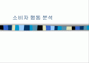 소비자 행동 분석 1페이지