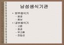 성의 신비 3페이지