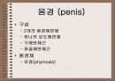성의 신비 6페이지