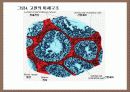 성의 신비 8페이지
