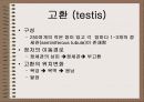 성의 신비 9페이지
