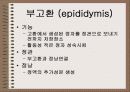 성의 신비 10페이지