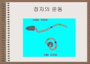 성의 신비 18페이지