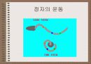 성의 신비 22페이지
