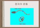 성의 신비 24페이지