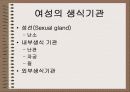 성의 신비 34페이지