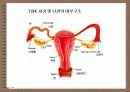성의 신비 37페이지