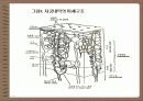 성의 신비 38페이지
