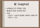 성의 신비 39페이지