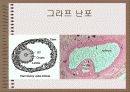 성의 신비 43페이지