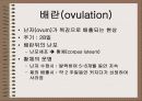 성의 신비 44페이지