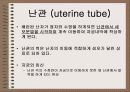 성의 신비 46페이지
