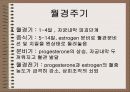 성의 신비 49페이지