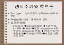 성의 신비 50페이지
