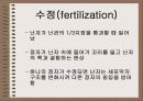 성의 신비 51페이지