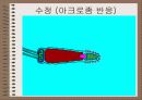 성의 신비 54페이지