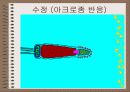 성의 신비 55페이지