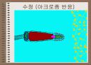 성의 신비 56페이지