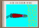 성의 신비 57페이지