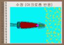 성의 신비 59페이지