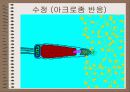 성의 신비 61페이지