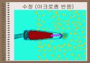 성의 신비 64페이지