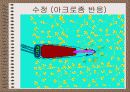 성의 신비 66페이지