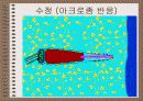 성의 신비 69페이지