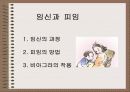 성의 신비 71페이지