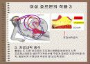 성의 신비 75페이지
