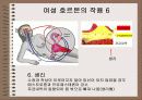 성의 신비 77페이지