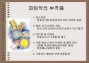 성의 신비 83페이지