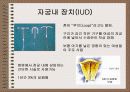 성의 신비 85페이지