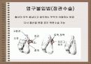 성의 신비 93페이지