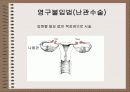 성의 신비 94페이지