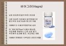 성의 신비 97페이지