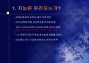 지능의 유전 2페이지