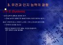 지능의 유전 15페이지