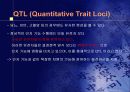 지능의 유전 17페이지